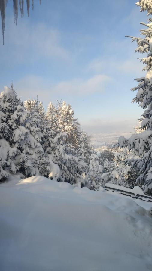 Chata Pietraszyna Koniaków エクステリア 写真