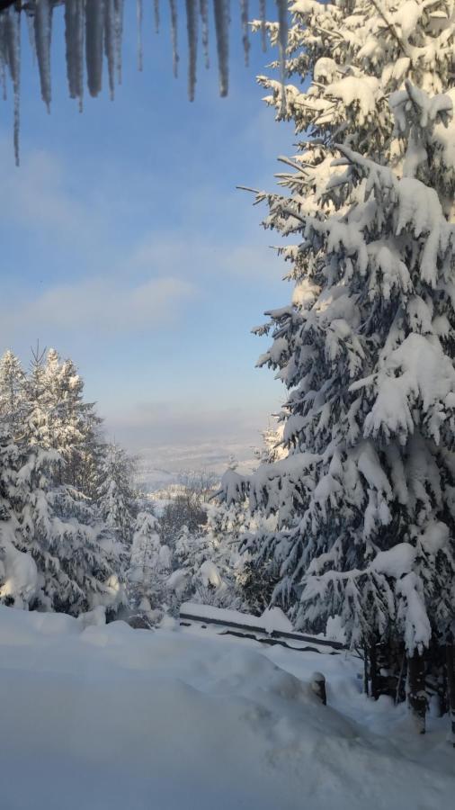 Chata Pietraszyna Koniaków エクステリア 写真